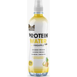 Pat Nutrition - Protein Water Pineapple (6x500ml) Ananas smaak