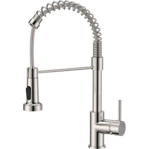 ApexArte® Kraan keuken - Zilver