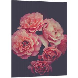 WallClassics - Vlag - Grote Roze Bloemen - 70x105 cm Foto op Polyester Vlag