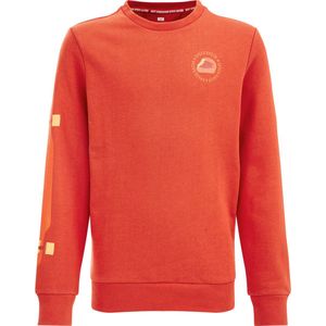 WE Fashion Jongens sweater met opdruk