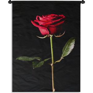 Wandkleed Planten op een zwarte achtergrond - Een rode roos op een zwarte achtergrond Wandkleed katoen 120x160 cm - Wandtapijt met foto XXL / Groot formaat!