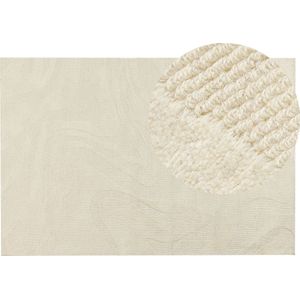 SASNAK - Vloerkleed - Beige - 200 x 300 cm - Wol