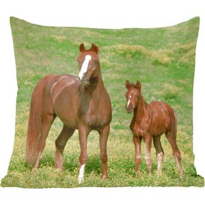 Sierkussen - Paarden Gras - Bruin - 40 Cm X 40 Cm