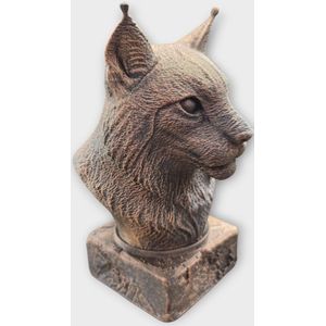 Lynx dierenbeeld - Buste van dierenkop 20cm | Realistisch & Decoratief Beeldje voor Thuis of Kantoor