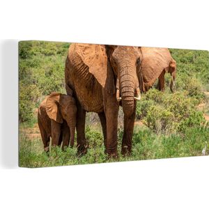 OneMillionCanvasses - Canvas - Olifanten - Olifant - Baby olifant - Grasvlakte - Muurdecoratie - 40x20 cm - Kamer decoratie