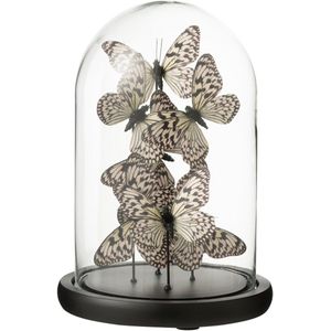J-Line decoratie Stolp Vlinder - glas - zwart/wit - medium