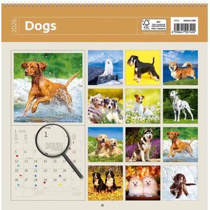 2026 Writing kalender 30 x 30 Dogs - free