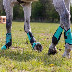 Qhp Beenbeschermers Qhp Eventing Achter Lichtgroen