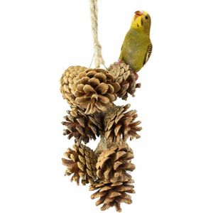 Back Zoo Nature Pine cone Garland