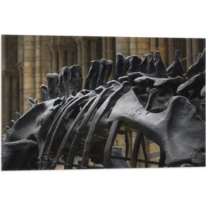 WallClassics - Vlag - Zwart Skelet van een Dino - 75x50 cm Foto op Polyester Vlag