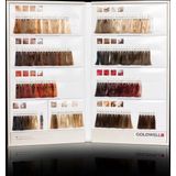 Goldwell Color Tableau