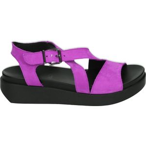 Arche MYAKKI - Dames slippers - Kleur: Paars - Maat: 38