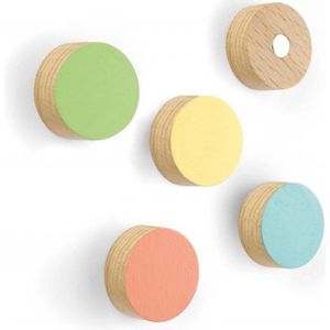Kleurrijke koelkastmagneten Timber Round 5 stuks Trendform, geschikt voor koelkast of ander metalen oppervlak, koelkastmagneet, koelkastmagneetjes, houten magneten, houten magneetjes, ronde magneten.