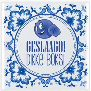 Bellatio Decorations Geslaagd cadeau tegel - geslaagd! dikke boks! - delfts blauw - 15 cm - afgestudeerd