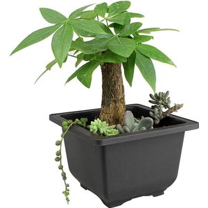 letuxaamz Bonsai Training Bloempot Plantenpotten - 6 Stuks Vierkante Bloempotten met Dienblad Succulent Container Kweekpotten Plastic Vierkante Potten voor Tuin, Erf, Woonkamer, Balkon, etc.