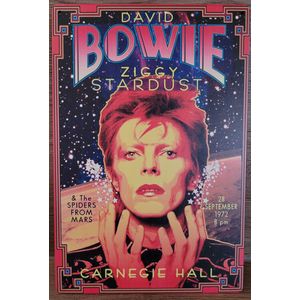 David Bowie Ziggy Stardust Reclamebord van metaal METALEN-WANDBORD - MUURPLAAT - VINTAGE - RETRO - HORECA- BORD-WANDDECORATIE -TEKSTBORD - DECORATIEBORD - RECLAMEPLAAT - WANDPLAAT - NOSTALGIE -CAFE- BAR -MANCAVE- KROEG- MAN CAVE