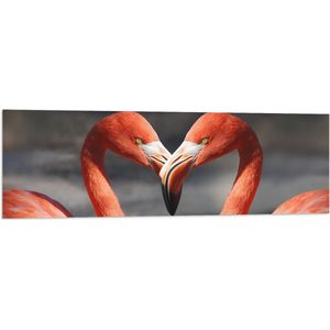 WallClassics - Vlag - Verliefde Flamingo's  - 120x40 cm Foto op Polyester Vlag