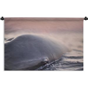 Wandkleed Zeedieren - Close-up van een dolfijn op het water Wandkleed katoen 180x120 cm - Wandtapijt met foto XXL / Groot formaat!