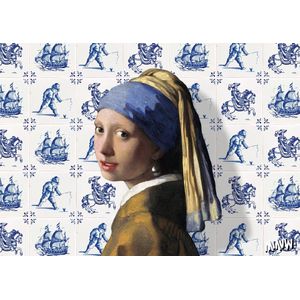 Vermeer grappige ansichtkaarten - set van 8 unieke kunstkaarten - Meisje met de Parel, Melkmeisje, Gezicht op Delft, Straatje, Astronoom enz.