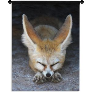 Wandkleed Fennek - Een slapende Fennek op de grond Wandkleed katoen 120x160 cm - Wandtapijt met foto XXL / Groot formaat!