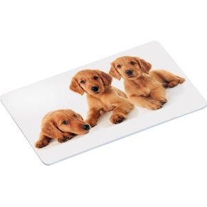 2x Ontbijtbordjes/ontbijtplankjes set puppy print 14 x 24 cm - Ontbijtborden servies voor kinderen - Onbreekbare bordjes voor babys/peuters/kleuters