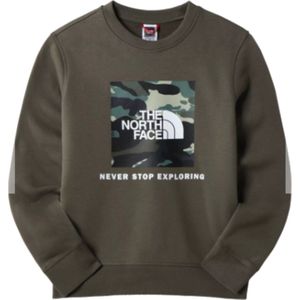 The North Face Box Crew casual sweater jongens taupe dessin
