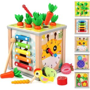 Houten Activiteitenkubus 6 in 1 - Educatief Speelgoed - Babyspeelgoed - Houten Speelgoed - 1 tot 3 jaar - Montessori Speelgoed - Motoriek - met Xylofoon - Vormsorteerder - Cadeau