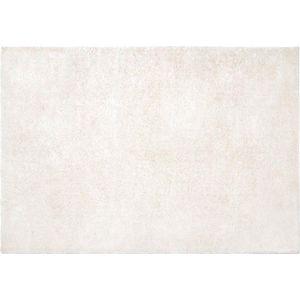 OZAIA Shaggy hoogpolig tapijt - 200 x 300 cm - Wit - MILINIO L 300 cm x H 3.5 cm x D 200 cm