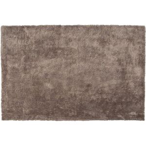 EVREN - Shaggy vloerkleed - Bruin - 200 x 300 cm - Polyester
