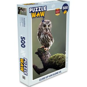 Puzzel Close-up van kleine uil - Legpuzzel - Puzzel 500 stukjes