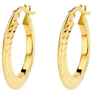 Quickjewels 4027504 - 14k Goud - spitse buis - Oorbellen