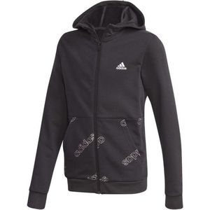 ADIDAS YB FAV AOP FZ