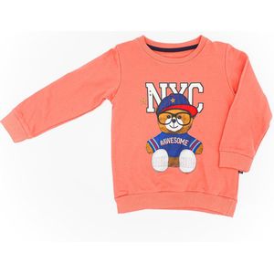 jongen 2 delige set broekje sweater broek maat 80 86 92 98 104 unisex kinderkleding set