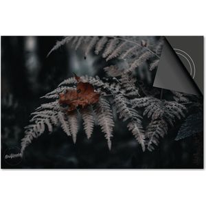 Inductie beschermer 71x52 - afdekplaat inductie mat - Dietrix Kookplaat beschermer - Exclusief - Herfst - Herfsttak koel