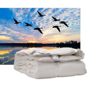 iSleep Donzen Dekbed - Enkel - 100% Dons (Warmteklasse 2) - Eenpersoons - 140x220 cm