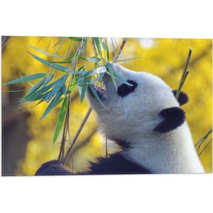 WallClassics - Vlag - Etende Panda aan Planten - 60x40 cm Foto op Polyester Vlag