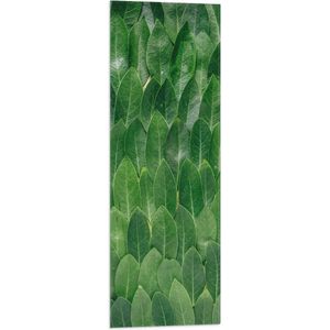 WallClassics - Vlag - Groene Blaadjes - 30x90 cm Foto op Polyester Vlag
