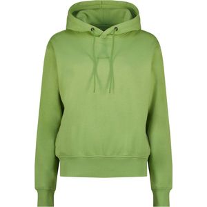 Raizzed Hoodie Nadine Groen