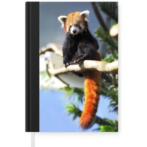 Notitieboek - Schrijfboek - Rode Panda - Zon - Tak - Notitieboekje klein - A5 formaat - Schrijfblok