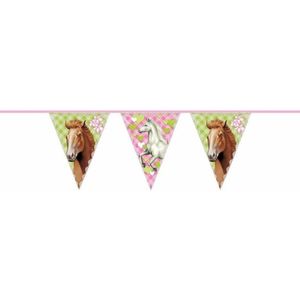 Slinger Paarden - Multicolor - 10 Meter - Feest - Slinger - Ophangen - Jarig - Meisjes - Roze - Groen - Wit - Decoratie