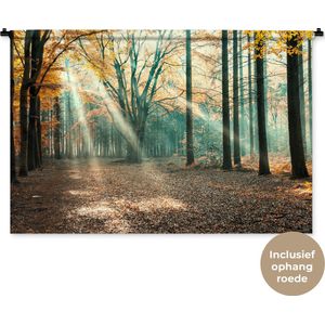 Wandkleed Landschappen Nederland - Herfstbos in Nederland Wandkleed katoen 150x100 cm - Wandtapijt met foto