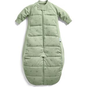 Ergopouch Sleepsuit Slaapzak - 2,5 Tog - 2-4 jaar - Slaapzak - Slaapzakken - Slaapzak Winter - Willow