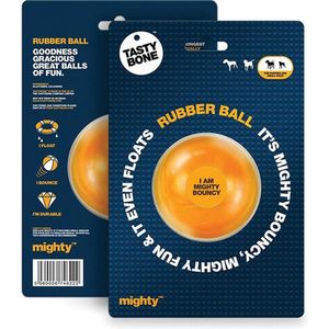 Tasty bone might rubber ball - small