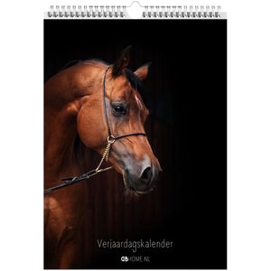 Kalender Paarden