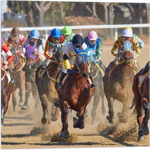 WallClassics - Vlag - Paarden Race - 50x50 cm Foto op Polyester Vlag
