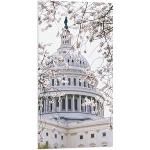 WallClassics - Vlag - Capitol tussen Witte Bloemen - 50x100 cm Foto op Polyester Vlag