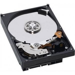 IBM 49Y1866 interne harde schijf 3.5'' 600 GB SAS