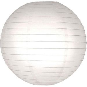 5 stuks witte lampion 90 cm - super grote lampion !