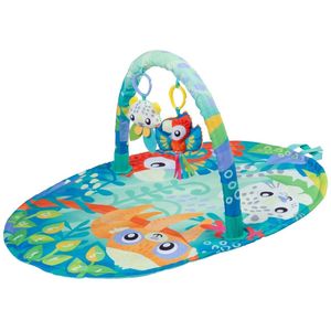 Playgro Mighty Milestones Activity Gym