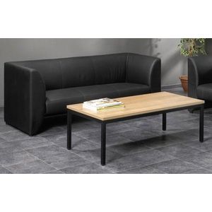 Salontafel 120x60x45cm bladkleur Antraciet eiken framekleur Wit (RAL9010)